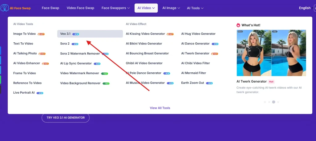 Sora 2 & Veo 3.1 on AIFaceswap